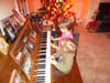 SAM_4275