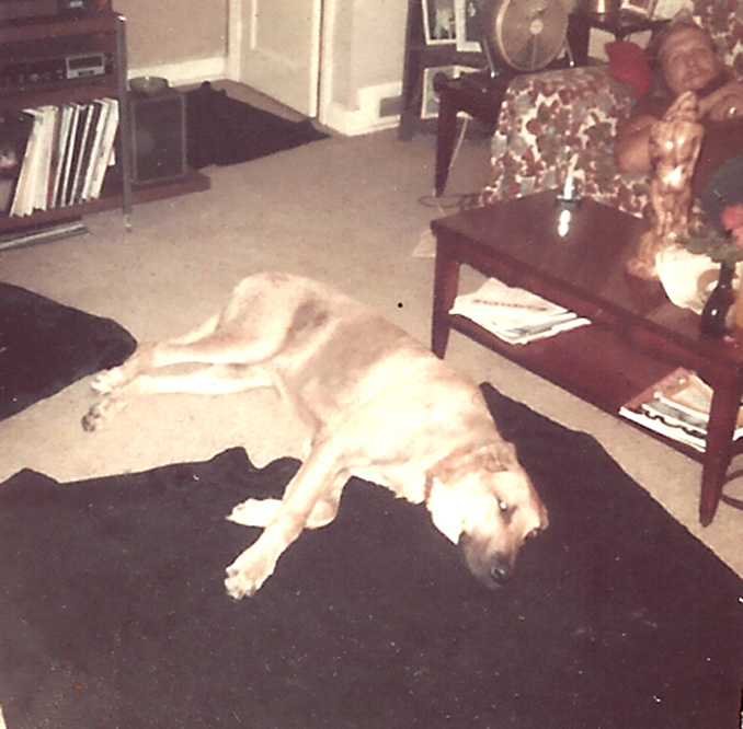 NICK PANCO AND DOG IN DAVE KELLEY LIVING RM AT VILONE VILLAGE IN EARLY1970s