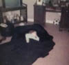 JASON BLEVINS IN HIS GRANDFATHER DAVE KELLEYS VILONE VILLAGE HOME MID 1970S