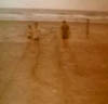 JIM AND JACK KELLEY WITH FRIEND AT BEACH EARLY 1970S